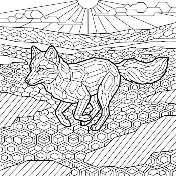 Arctic Fox