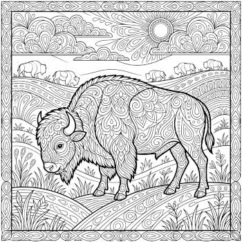 Bison