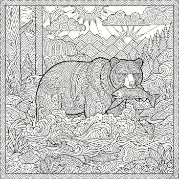 Brown Bear