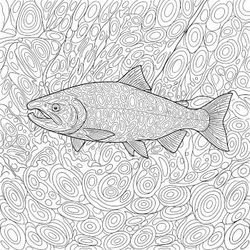 Coho Salmon