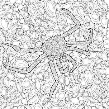 King Crab