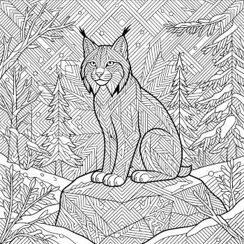 Lynx