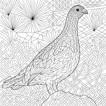 Ptarmigan