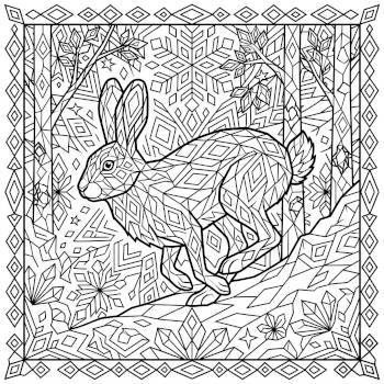 Snowshoe Hare