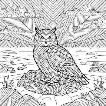 Snowy Owl