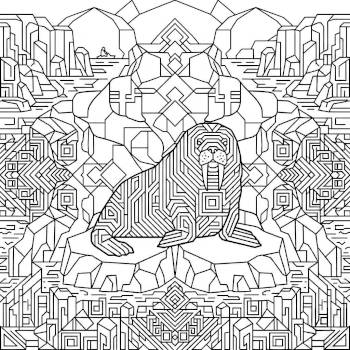 Walrus